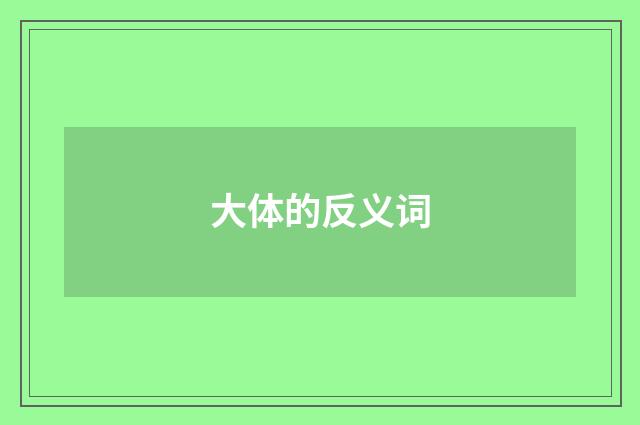 大体的反义词