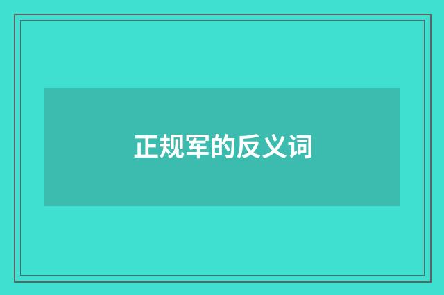 正规军的反义词