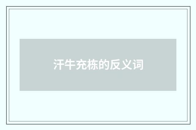 汗牛充栋的反义词