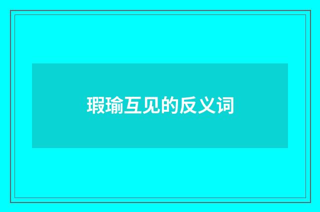 瑕瑜互见的反义词