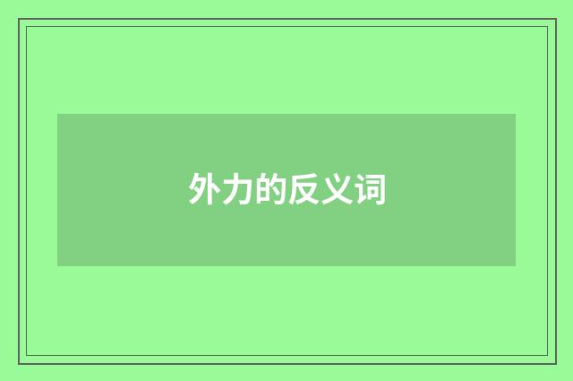 外力的反义词