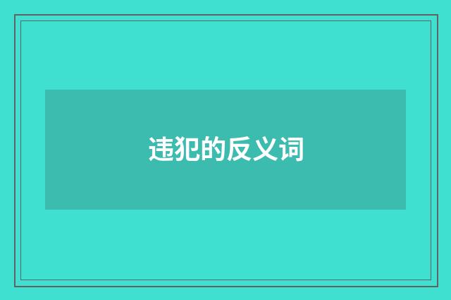 违犯的反义词
