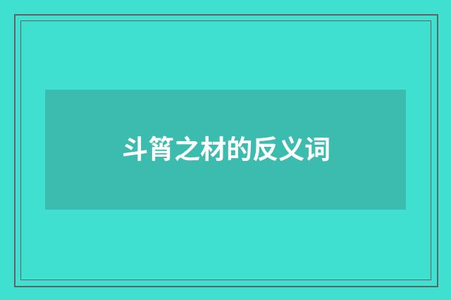 斗筲之材的反义词