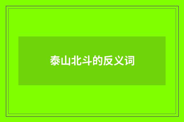 泰山北斗的反义词