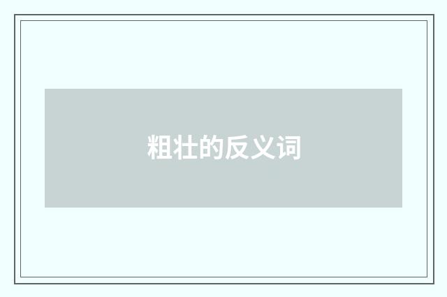 粗壮的反义词