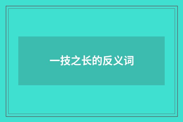 一技之长的反义词