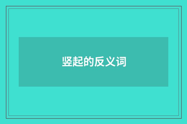 竖起的反义词