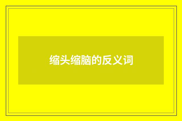 缩头缩脑的反义词