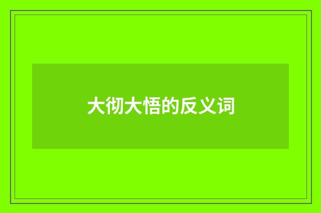 大彻大悟的反义词