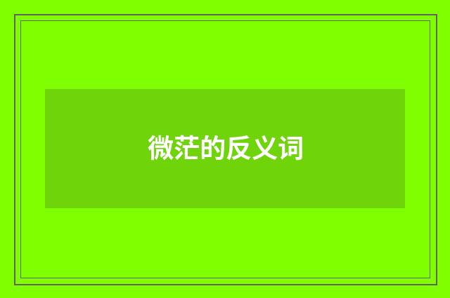 微茫的反义词