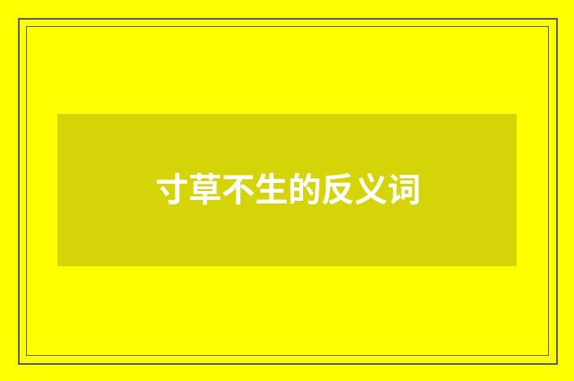 寸草不生的反义词