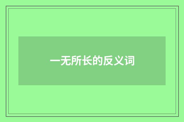 一无所长的反义词