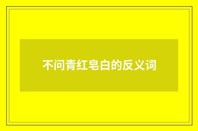不问青红皂白的反义词