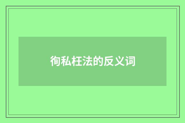 徇私枉法的反义词