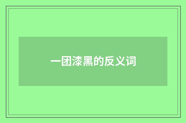 一团漆黑的反义词