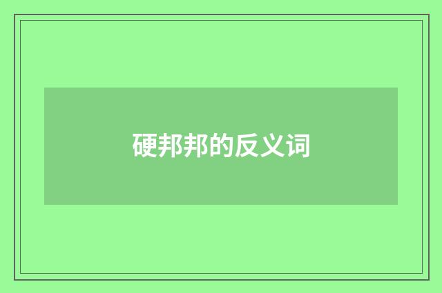 硬邦邦的反义词