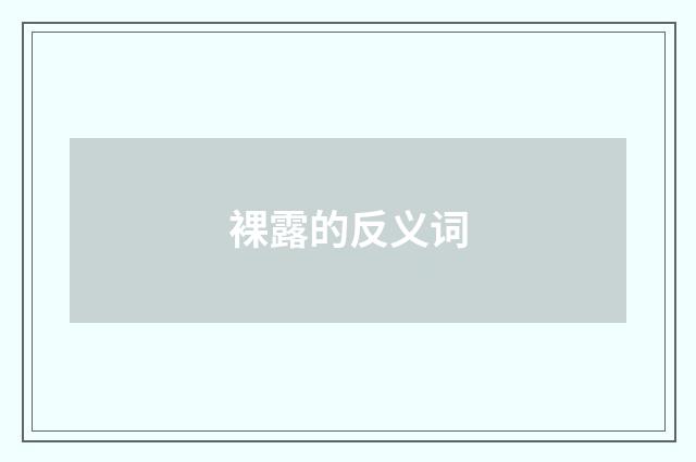 裸露的反义词