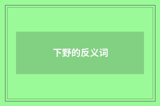 下野的反义词