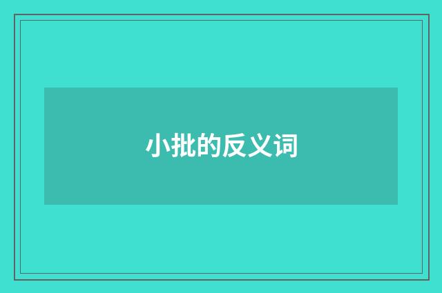 小批的反义词
