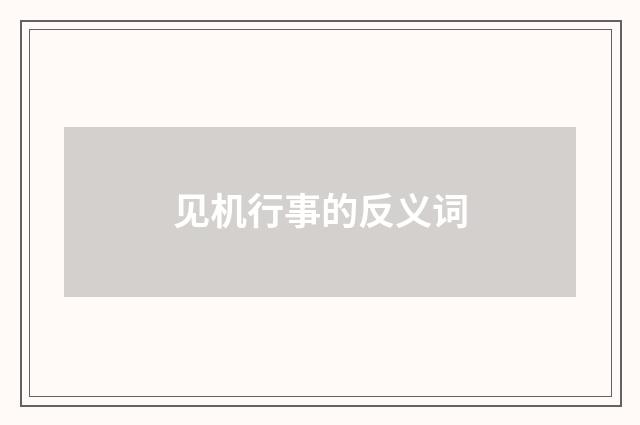 见机行事的反义词