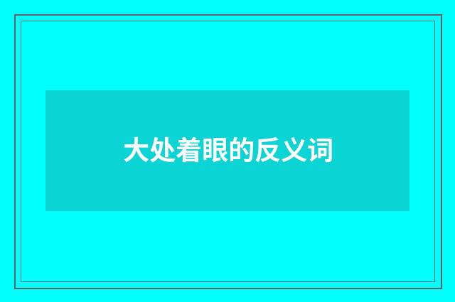 大处着眼的反义词