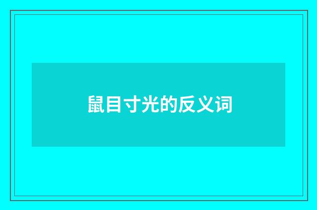 鼠目寸光的反义词