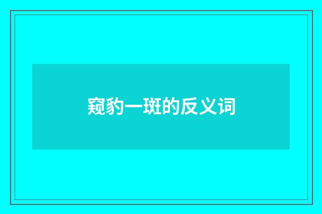 窥豹一斑的反义词