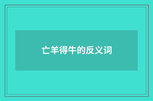 亡羊得牛的反义词