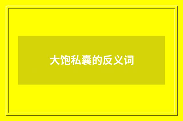 大饱私囊的反义词