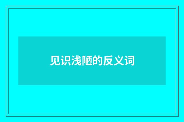见识浅陋的反义词