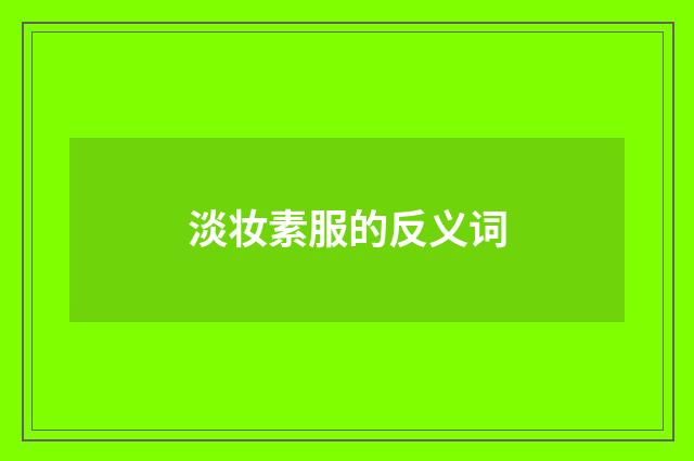 淡妆素服的反义词