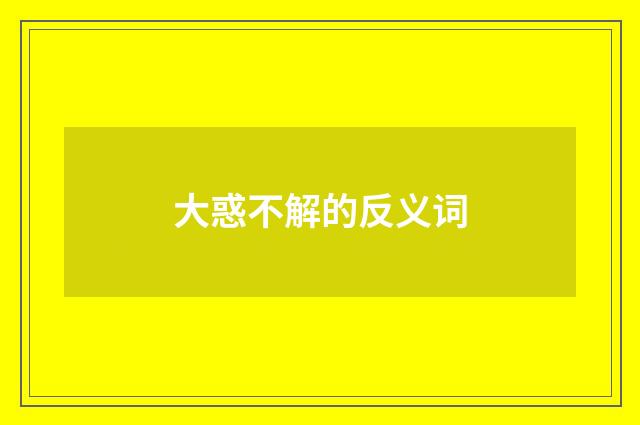 大惑不解的反义词
