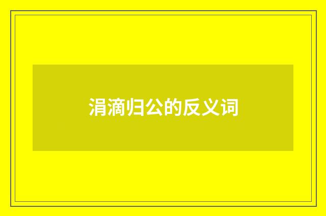 涓滴归公的反义词