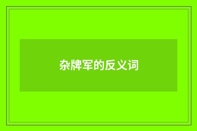 杂牌军的反义词