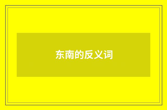 东南的反义词