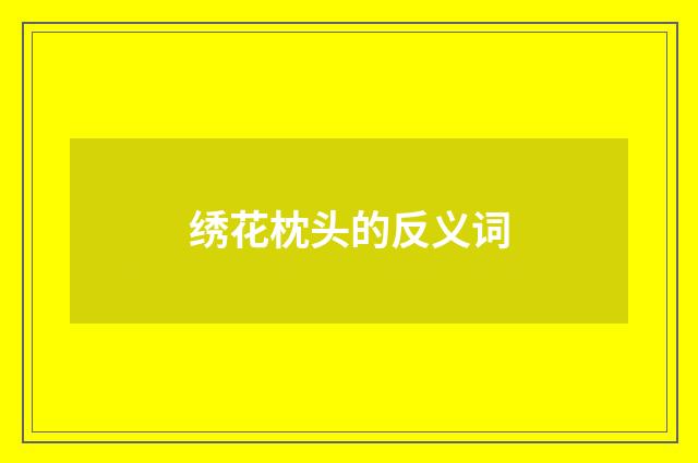 绣花枕头的反义词