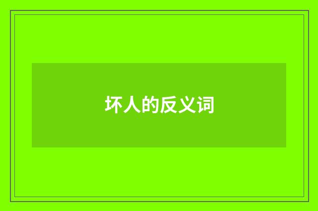 坏人的反义词