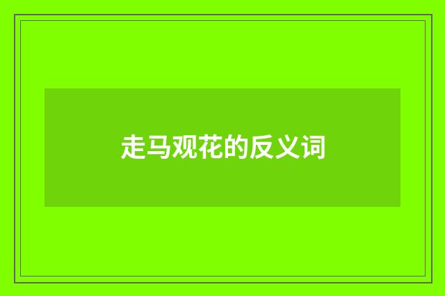 走马观花的反义词