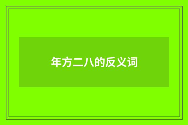 年方二八的反义词