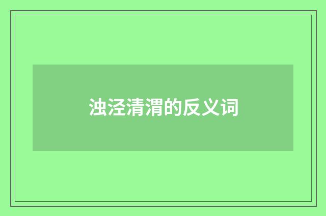 浊泾清渭的反义词