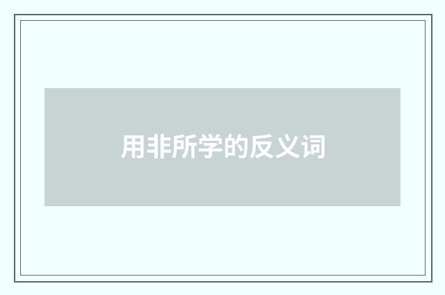 用非所学的反义词