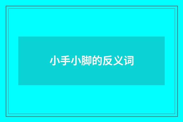 小手小脚的反义词