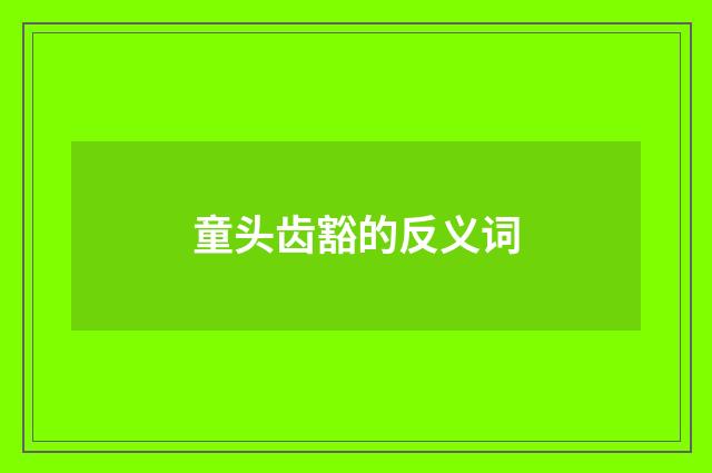 童头齿豁的反义词