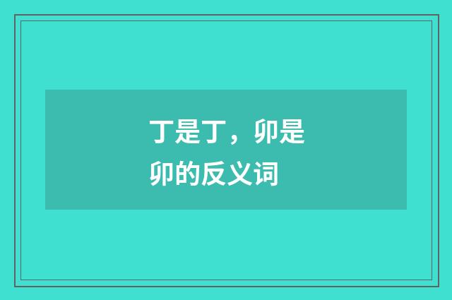 丁是丁，卯是卯的反义词