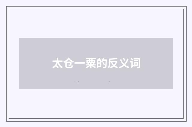 太仓一粟的反义词