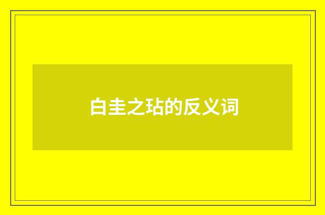 白圭之玷的反义词