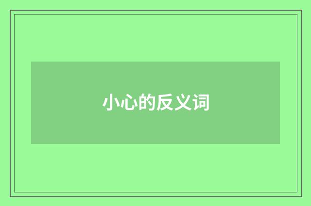 小心的反义词