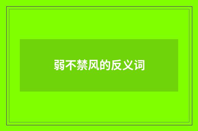 弱不禁风的反义词