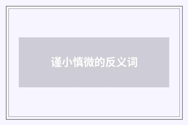 谨小慎微的反义词