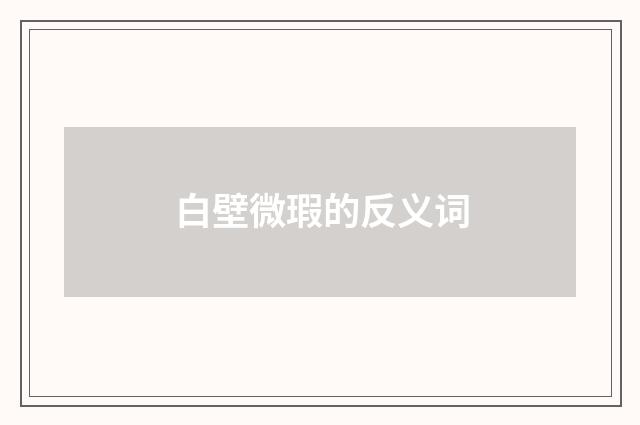 白壁微瑕的反义词